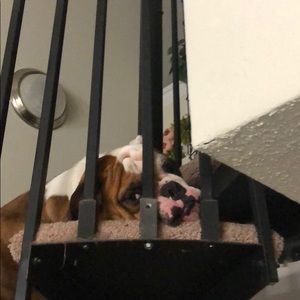 Meet your Posher, Gregorio